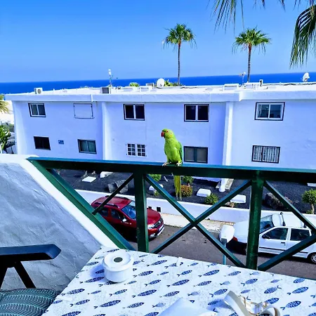 Floor Ocean Views Lanzamar - Renovated Gem With A Sunny, Private Terrace & Elevator & Pool - 公寓 卡门港